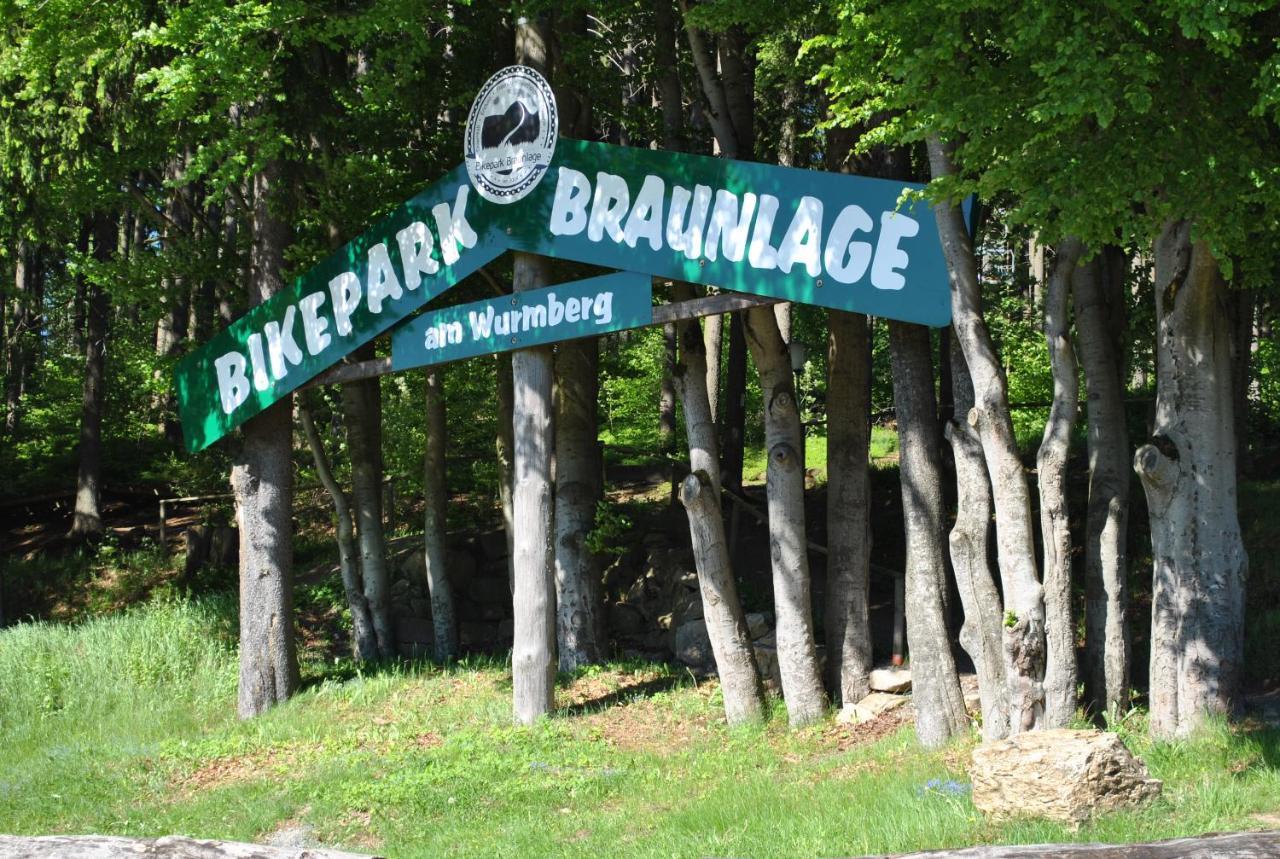 Ferienwohnung Harz-Rose Braunlage Exterior foto