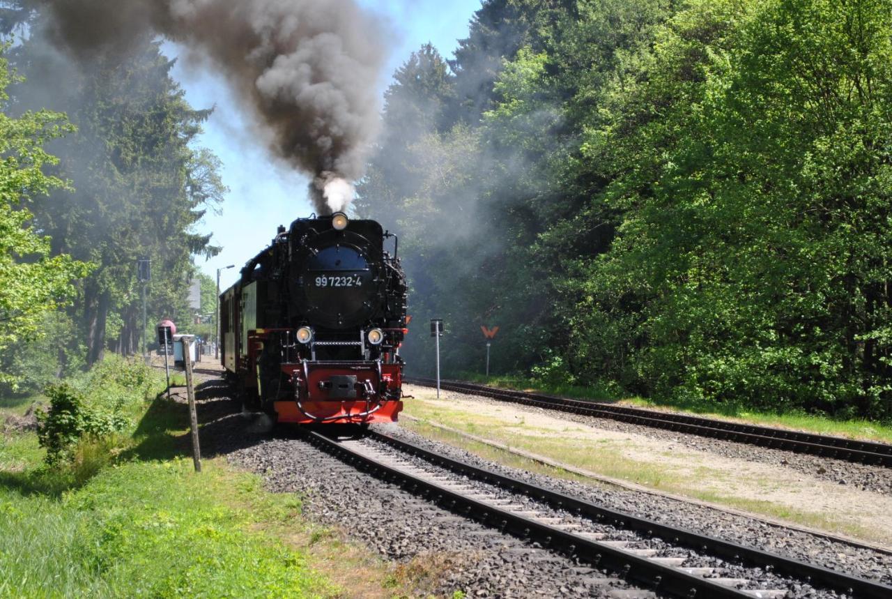 Ferienwohnung Harz-Rose Braunlage Exterior foto